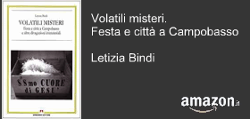 Volatili misteri. Festa e città a Campobasso